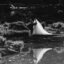 The Montoya Collective wedding photo - The Montoya Collective