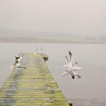 Fine Art Wedding Photographer wedding photo - Fine Art Wedding Photographer