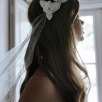 Laura + Clare wedding photo - Laura + Clare