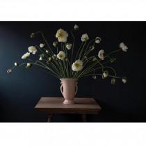 Ariel Dearie Flowers wedding photo - Ariel Dearie Flowers