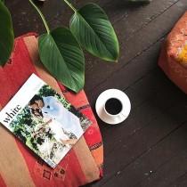 WHITE wedding photo - WHITE