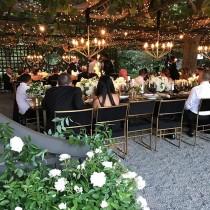 jacin fitzgerald wedding photo - jacin fitzgerald