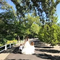 jacin fitzgerald wedding photo - jacin fitzgerald