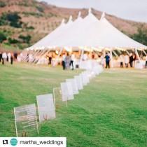 Steve Steinhardt wedding photo - Steve Steinhardt