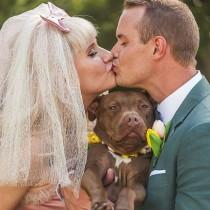 Kat Williams wedding photo - Kat Williams