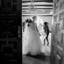 wedding photo - Steve Steinhardt