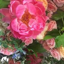 Poppies & Posies wedding photo - Poppies & Posies