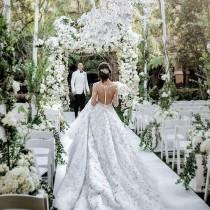 Wedding Dream wedding photo - Wedding Dream