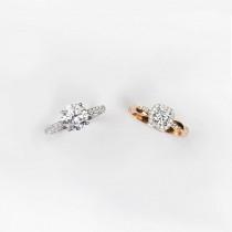 Wedding Ideas wedding photo - Wedding Ideas