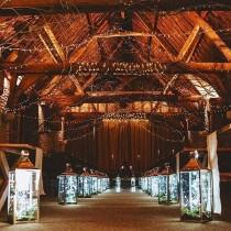 Wedding Ideas wedding photo - Wedding Ideas