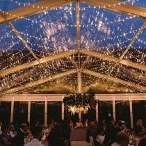 Wedding Dream wedding photo - Wedding Dream