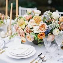 Wedding Ideas wedding photo - Wedding Ideas