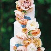 Wedding Ideas wedding photo - Wedding Ideas