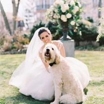 Abby Jiu + Lisa Ziesing wedding photo - Abby Jiu + Lisa Ziesing