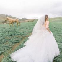 Corbin Gurkin wedding photo - Corbin Gurkin