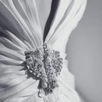 Jenny Packham wedding photo - Jenny Packham