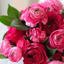 Amaryllis Inc. wedding photo - Amaryllis Inc.