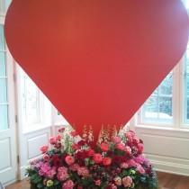 Amaryllis Inc. wedding photo - Amaryllis Inc.