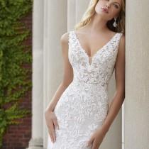 Wedding Ideas wedding photo - Wedding Ideas