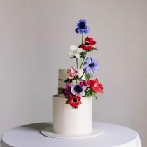Wedding Ideas wedding photo - Wedding Ideas