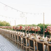 Abby Jiu + Lisa Ziesing wedding photo - Abby Jiu + Lisa Ziesing