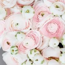 Katie Mitchell wedding photo - Katie Mitchell