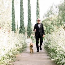 Nancy Teasley wedding photo - Nancy Teasley