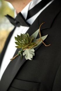 wedding photo - Sukkulenten Boutonniere für den Bräutigam