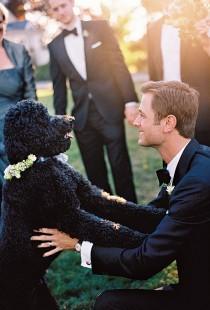 wedding photo - With Pets