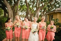wedding photo - Bridesmaids